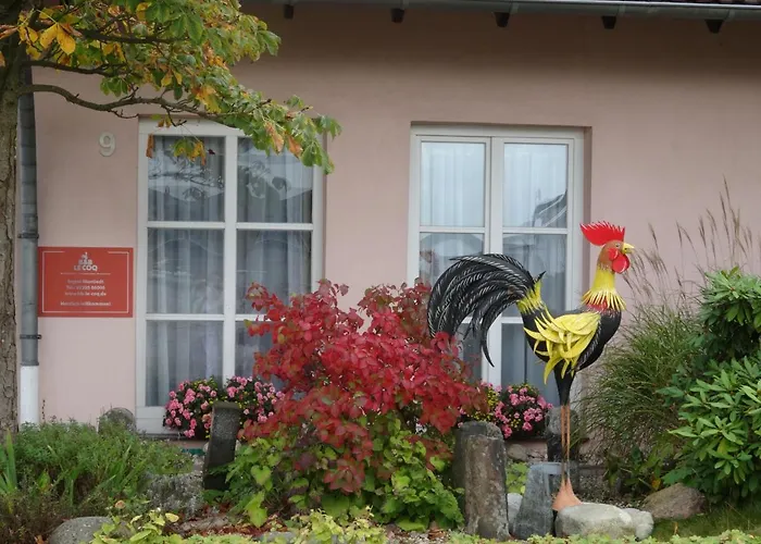 Le Coq Nientiedt